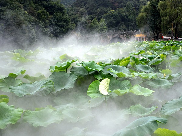 人造霧設備使用說明